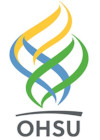 System Logo